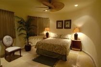 Blue Parrot Suites Playa del Carmen Exterior photo